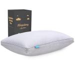 SLEEPDIARY Pillow Queen Size,Hotel-Quality Bed Pillows with Zipper for Adjustable Loft, Machine Washable, Down Alternative Filling for Back, Side & Stomach Sleepers,Gray