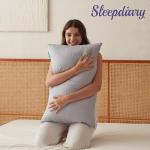SLEEPDIARY Pillow Queen Size,Hotel-Quality Bed Pillows with Zipper for Adjustable Loft, Machine Washable, Down Alternative Filling for Back, Side & Stomach Sleepers,Gray