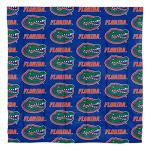 Northwest NCAA Florida Gators Unisex-Adult Bed in a Bag Set, Queen, Rotary