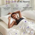 Bamboo Viscose & Silk Blended Silver Infused Queen Bed Sheets, 10% Silver for Permanent Self-Purifying & Clear Skin & Acne-Prone, Cooling Sheets Bedding for Hot Sleepers, Natural Odor Control Sheets