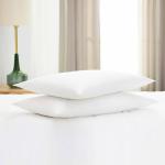 Gooeb Flat Ultra Thin Bed Pillows Standard/Queen Size Pillow Set of 2 Extra Soft Down Alternative for Stomach Back Sleeping White