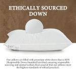 BHZ Goose Down Feather Pillows Queen Size - Hotel Collection Bed Pillows for Sleeping Medium Firm Soft Support Pillow for Side and Back Sleepers with Breathable Cover