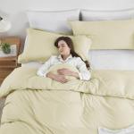 Hearth & Harbor Vanilla Yellow Duvet Cover Queen Size - 3 Piece Soft Double Brushed Bedding Set - Includes 1 Queen Duvet Cover with Button Closure 90x90 inches and 2 Pillow Shams