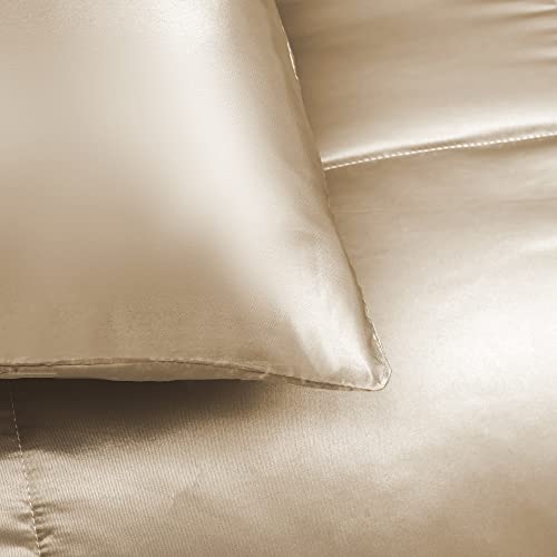 Champagne Whale Flotilla 3-Piece Silk Comforter Set