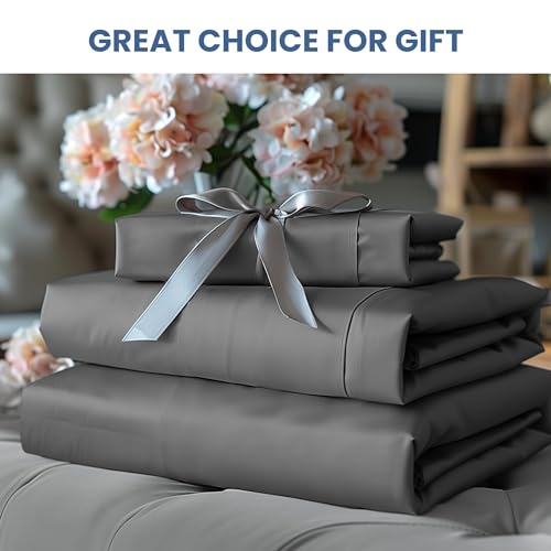 Luxury 4-Piece Queen Size Sheet Set - Grey