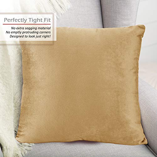 Cozy Velvet Decorative Pillow Covers - Set of 4