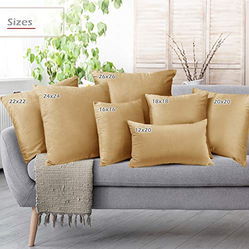 Cozy Velvet Decorative Pillow Covers - Set of 4