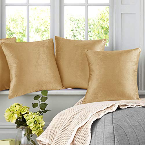 Cozy Velvet Decorative Pillow Covers - Set of 4