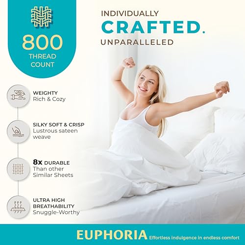 800 TC Egyptian Cotton Queen Bed Sheet Set