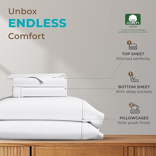800 TC Egyptian Cotton Queen Bed Sheet Set