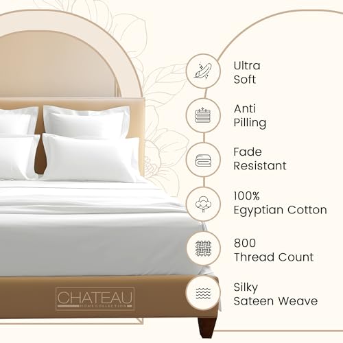 Luxury Egyptian Cotton Queen Sheet Set - 800 TC
