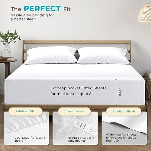 800 TC Egyptian Cotton Queen Bed Sheet Set