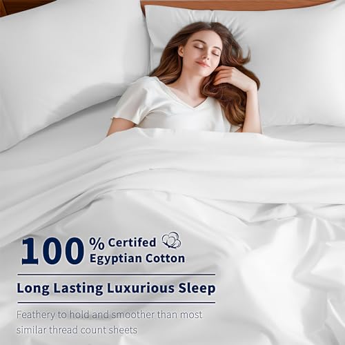 Luxury 100% Cotton Queen Sheet Set - 600 Thread Count