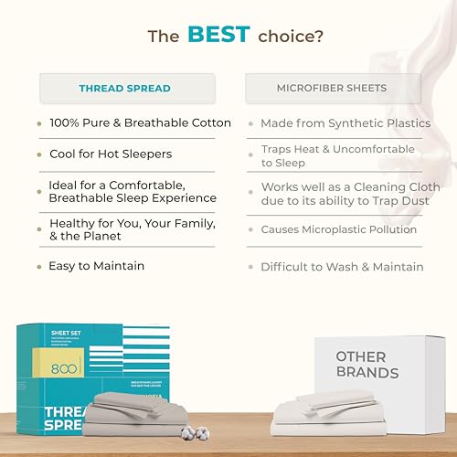 800 TC Egyptian Cotton Queen Bed Sheet Set
