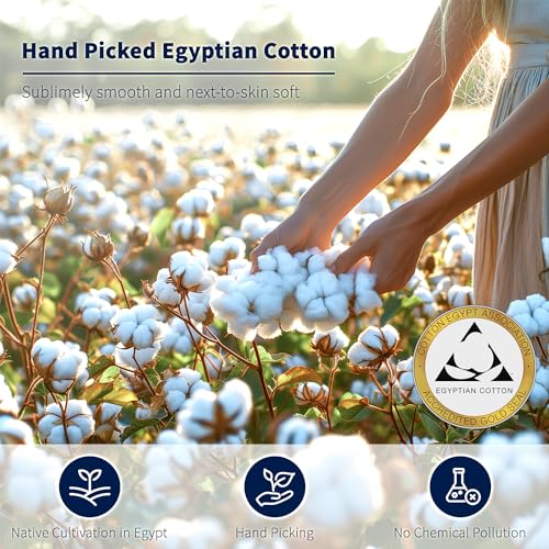 Luxury 100% Cotton Queen Sheet Set - 600 Thread Count