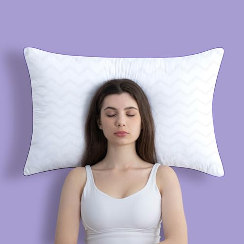Super Soft Down Alternative Bed Pillows Set of 2