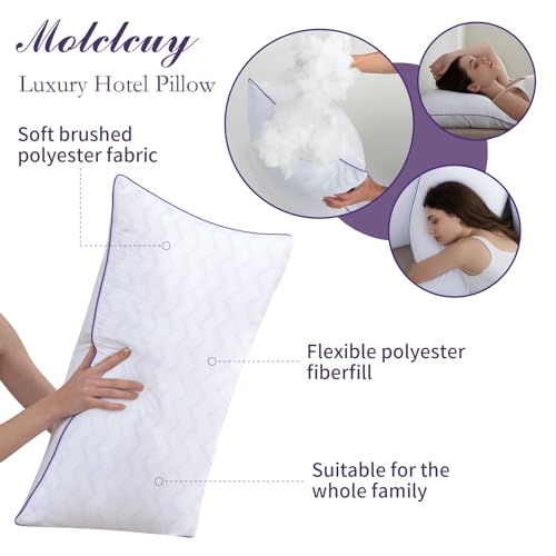 Super Soft Down Alternative Bed Pillows Set of 2