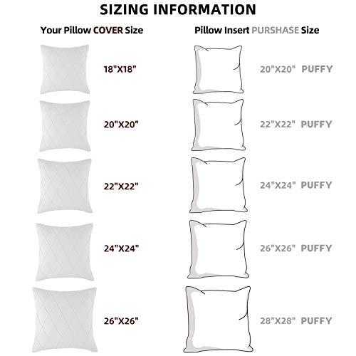 White Decorative Throw Pillow Covers, Set of 2