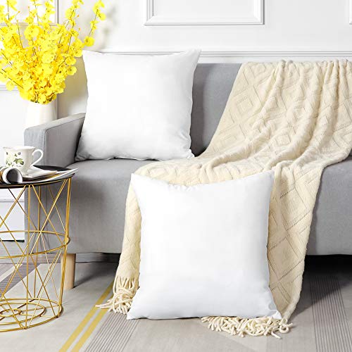 Set of 6 White 18x18 Inch Throw Pillow Inserts