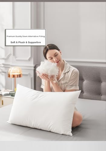 Adjustable Queen Size Cooling Bed Pillows Set