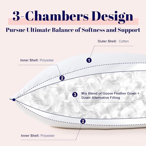 Cosybay King Size Goose Feather Bed Pillows