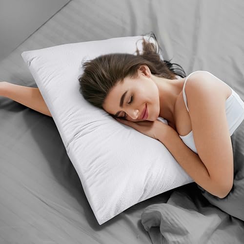 Waterproof Zipper Pillow Protectors - 4 Pack