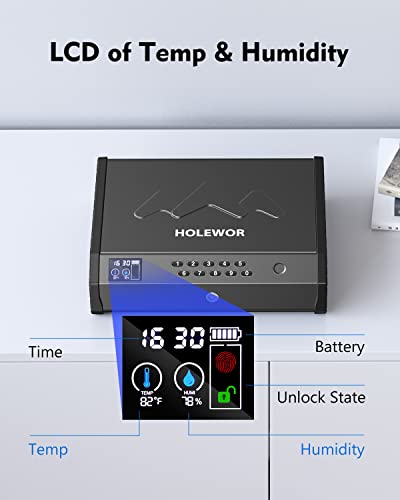 Biometric Pistol Gun Safe with LCD Display