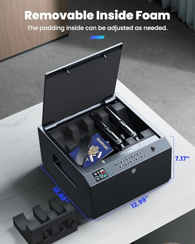 4-Pistol Biometric Gun Safe with LCD Display