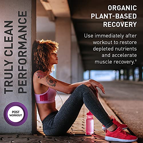Garden of Life Sport Vegan Organic Plant Based Post Workout Muscle Recovery Powder for Men & Women - BlackBerry Lemonade 30 Servings, 100mg Magnesium, Antioxidants, Supplements, 15.7 Oz