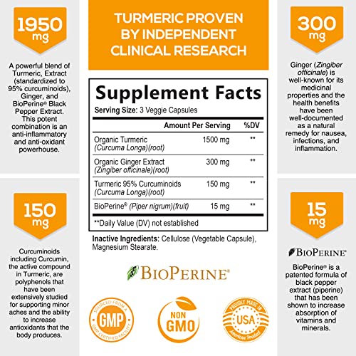 Turmeric Curcumin with BioPerine & Ginger 95% Standardized Curcuminoids 1950mg - Black Pepper for Max Absorption, Natural Joint Support, Nature's Tumeric Extract Supplement Non-GMO - 60 Capsules