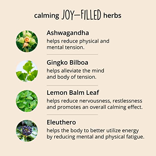 Joy-Filled Mood Support Supplement with St. Johns Wort | Helps Calm The Mind & Body, Stress Relief Energy Supplements | 100% Plant-Based | Ashwagandha, Rhodiola, Eleuthero | Herbal Adaptogens, 60 ct