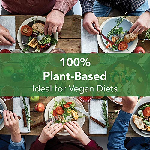 PlantFusion Vegan B12 from, Premium Vegan Vitamin B12 for Women and Men (500mcg), Natural Energy Supplement, 100 Tablets