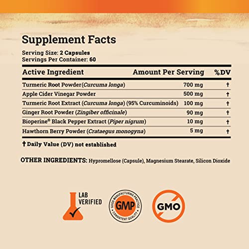 Turmeric and Ginger Supplement - Tumeric Curcumin Joint Support Pills - with Apple Cider Vinegar & BioPerine Black Pepper - 95% Curcuminoids - Supports Post-Exercise Inflammation - 120 Capsules
