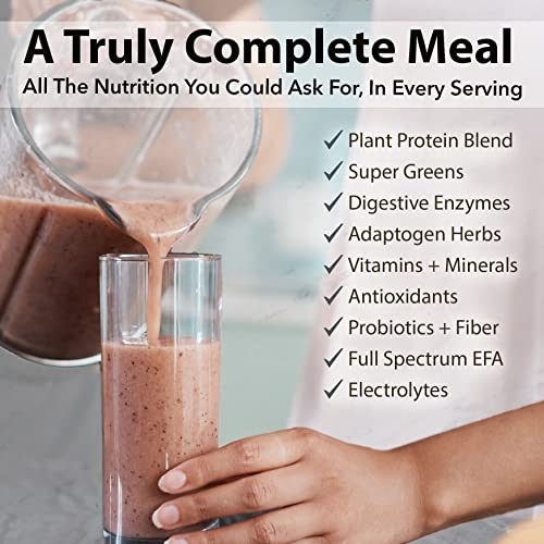 PlantFusion Complete Meal Replacement Shake - Plant Based Protein Powder with Superfoods, Greens & Probiotics - Vegan, Gluten Free, Soy Free, Non-Dairy, No Sugar, Non-GMO - Vanilla 1 lb