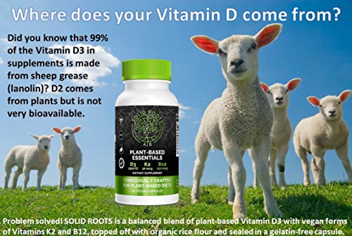 SOLID ROOTS Vegan Vitamin D3 + K2 +B12 for Bones, Heart, Skin, Teeth Plant-Based Multivitamin Essentials