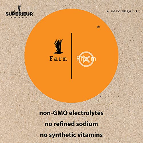 Superieur Electrolytes – Plant Based Electrolyte Supplement w/Sea Minerals for Hydration & Recovery – Keto Friendly, Non-GMO, Zero Sugar, Vegan Healthy Sports Drink Powder – (70 Servings)