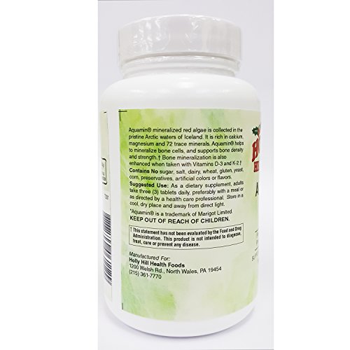 Holly Hill Health Foods Algae Based Calcium 1,000 mg