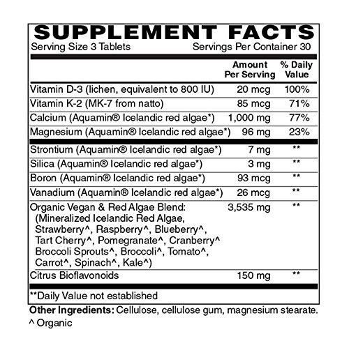 Holly Hill Health Foods Algae Based Calcium 1,000 mg