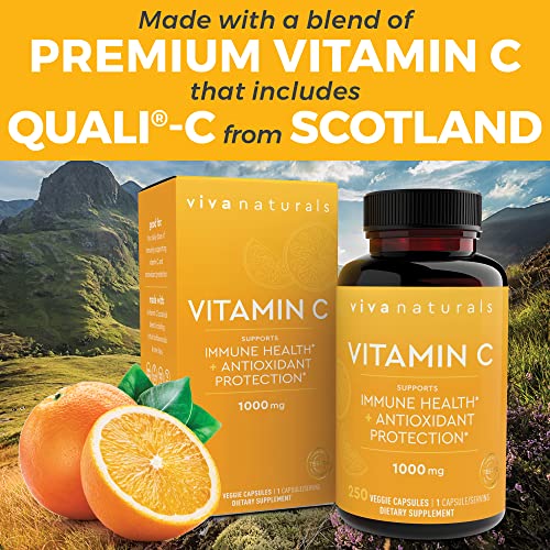 Viva Naturals Vitamin C 1000mg - Non-GMO Vitamin C Supplements with Citrus Bioflavonoids & Rose Hips for Immune Support & Antioxidant Protection, 250 Vegetarian Capsules