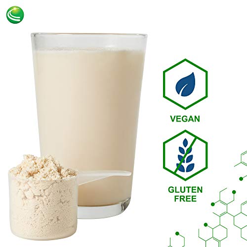 Nutra BioGenesis - UltraLean Vegan Vanilla - Functional Food Shake, Powdered Nutritional Beverage, Plant Based Protein Supplement - 1.2 Lb