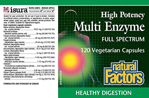 Natural Factors, High Potency Multi Enzyme Vegetarian Formula, Plant-Based Digestive Aid, 120 Capsules