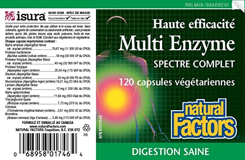 Natural Factors, High Potency Multi Enzyme Vegetarian Formula, Plant-Based Digestive Aid, 120 Capsules