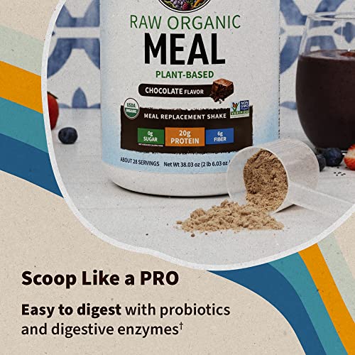 Tasty Organic Chocolate Meal Replacement Shake Vegan - Garden of Life - 20g Complete Plant Based Protein, Greens, Rice Protein, Pro & Prebiotics for Easy Digestion – Non-GMO, Gluten-Free, 1.2 LB