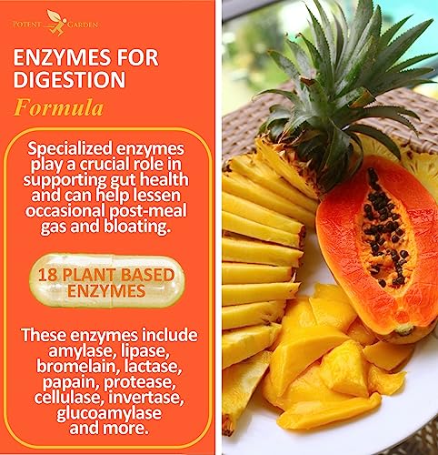 Potent Garden Digestive Enzymes -18 Plant Based Enzymes with amylase lipase bromelain Protease lactase & Other Enzymes - One Pre Meal Pill Supports Healthy Digestion & Nutrient Absorption 60 Caps