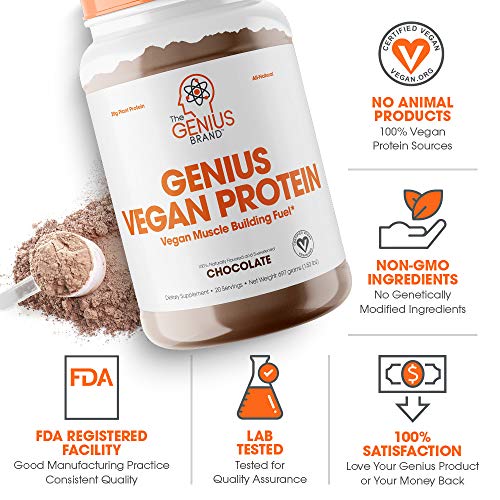 Genius Vegan Protein Powder, Chocolate - Plant-Based Lean Muscle Building Shake for Men & Women - Pea & Pumpkin Protein Sources - Naturally Flavored & Sweetened - Dairy & Lactose Free