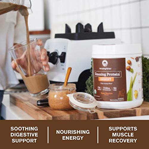Amazing Grass DIGEST Vegan Protein Powder, Plant Based with Probiotics + Fiber to Manage Bloat, Mayan Chocolate, 15 Servings