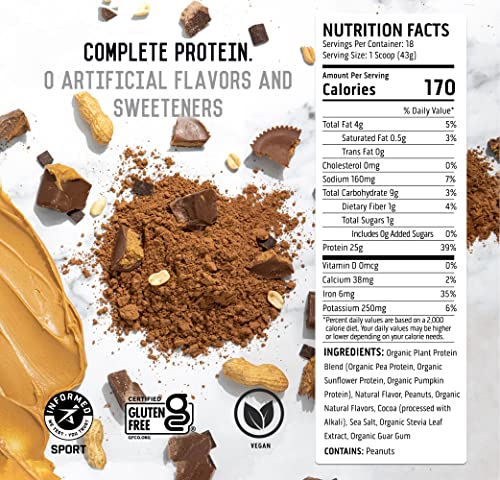 Ascent Plant Based Protein Powder - Non Dairy Vegan Protein, Zero Artificial Flavors & Sweeteners, Gluten Free, No Added Sugar,  4g BCAA, 2g Leucine - Chocolate Peanut Butter, 18 Servings