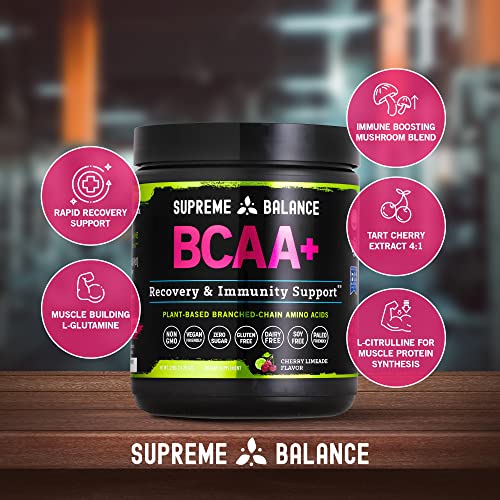 Plant Based Natural Vegan 5G BCAA Amino Acids Powder Drink Mix – Ultimate Muscle Recovery Supplement for Men and Women –BCAAs, Glutamine, L-Citrulline, Reishi & Cordyceps Mushrooms–Powder Form