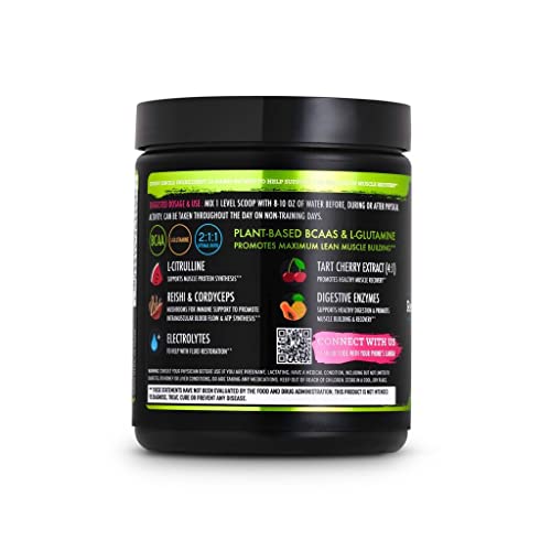 Plant Based Natural Vegan 5G BCAA Amino Acids Powder Drink Mix – Ultimate Muscle Recovery Supplement for Men and Women –BCAAs, Glutamine, L-Citrulline, Reishi & Cordyceps Mushrooms–Powder Form