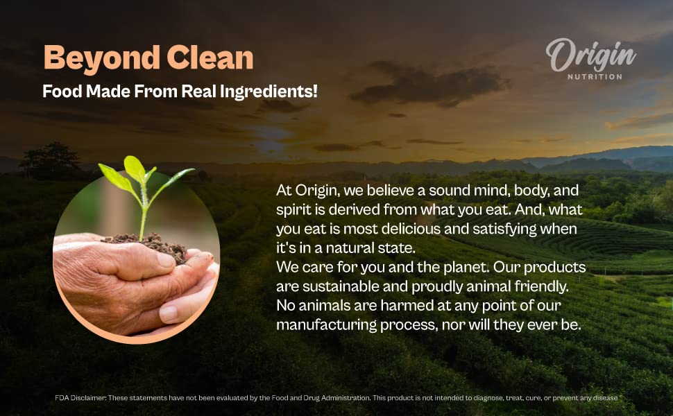 ORIGIN NUTRITION 100% Natural Vegan Protein Powder